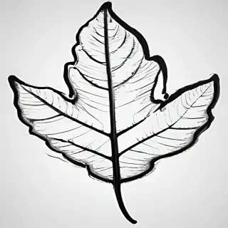 leaf clip art black and white