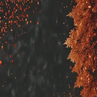 fall aesthetic wallpaper iphone