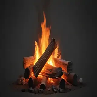camp fire png