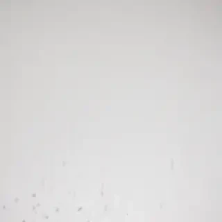 white wall paper
