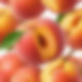 peach png