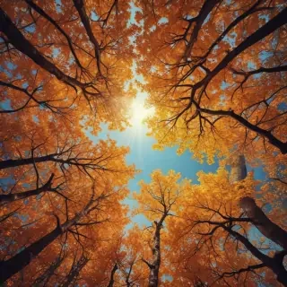 iphone wallpaper fall