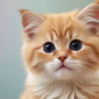 cute wallpaper desktop background