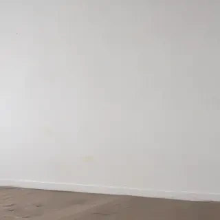 background white wall
