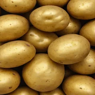 potato png