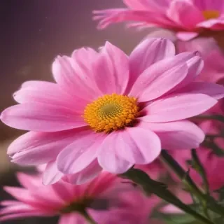 pink flower background