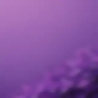 purple aesthetic wallpapers iphone