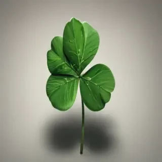 4 leaf clover
