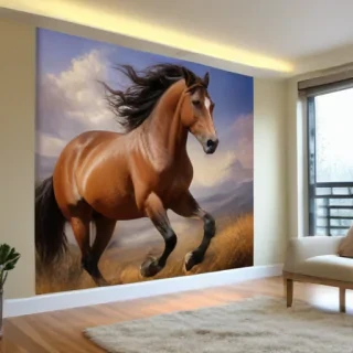 horse pictures
