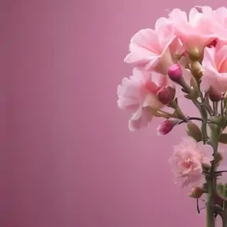 pink background cute