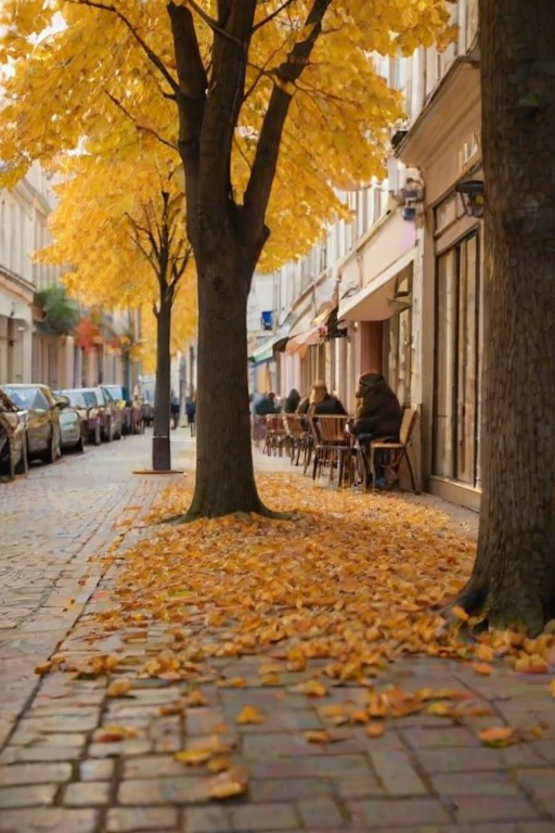 Soft-focus image of a picturesque European street during autumn, with golden leaves falling from trees, quaint cafés lining the sidewalk, and soft sunlight filtering through the branches.