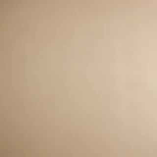 grain paper texture