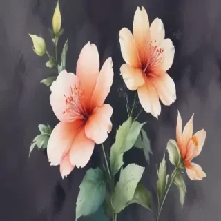 watercolor flower png