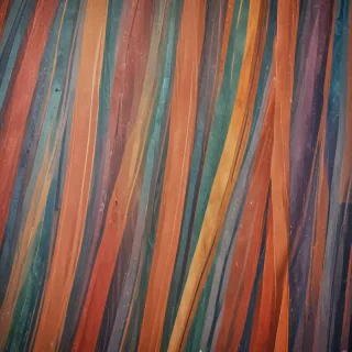 striped backgrounds