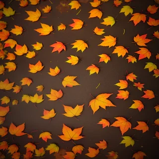 fall leaves