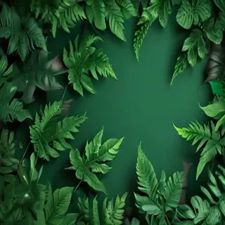 green background wallpaper aesthetic