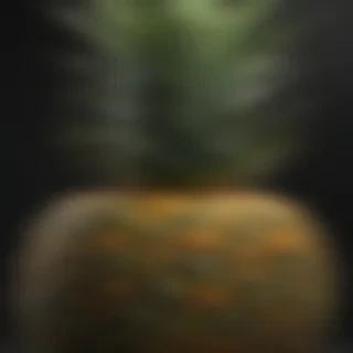pineapple png