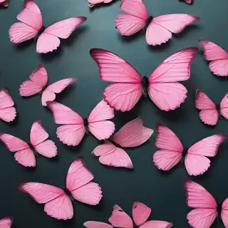 images of pink butterflies