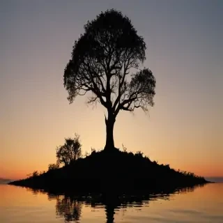 trees silhouette png