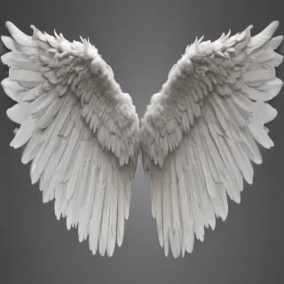 png angel wings