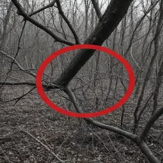 red circle