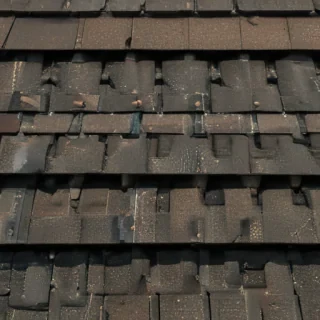 shingles images