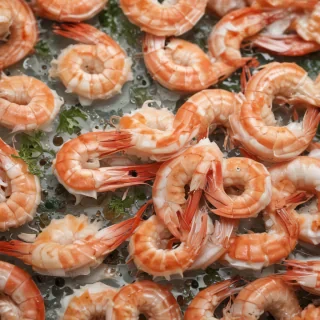 shrimp png