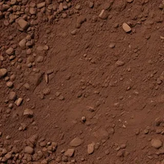 ground png