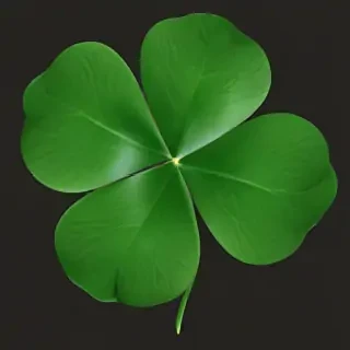 4 leaf clover png