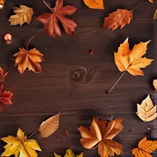 fall wallpapers iphone
