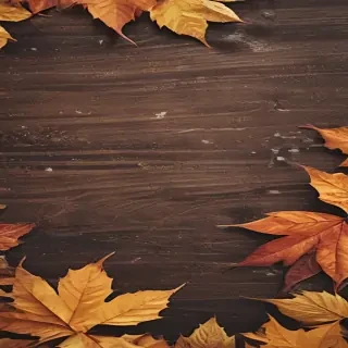 fall wallpapers iphone
