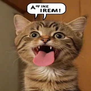 background funny pictures