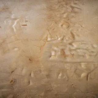 texture scratch