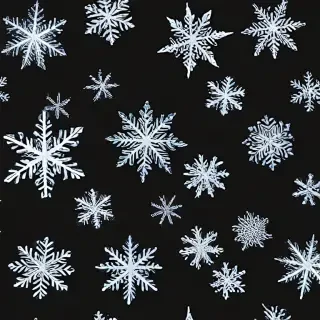 snow flakes png
