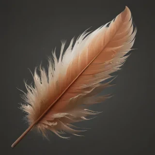 feather png