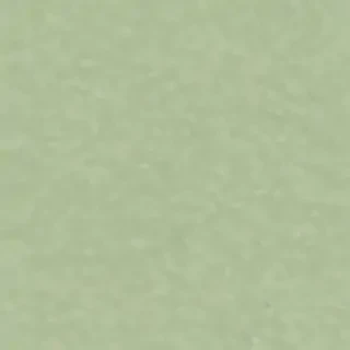 plain light green background