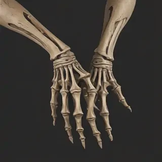 skeleton hands png