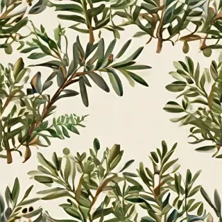 olive tree png