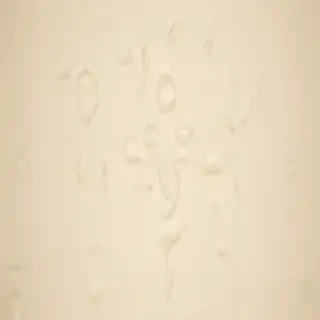 cream iphone wallpaper