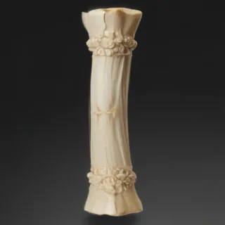 bone png