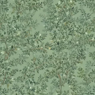 sage green backround