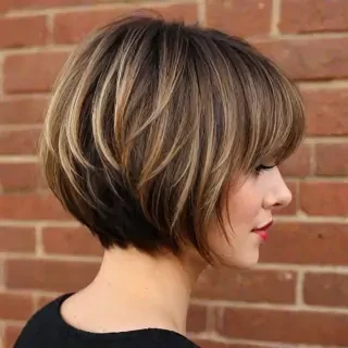 pixie bob breed