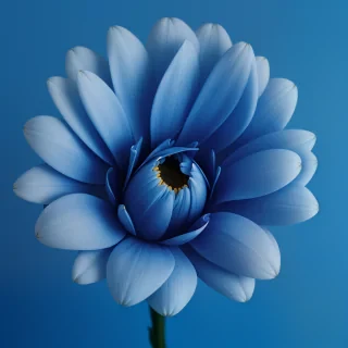 blue background flower