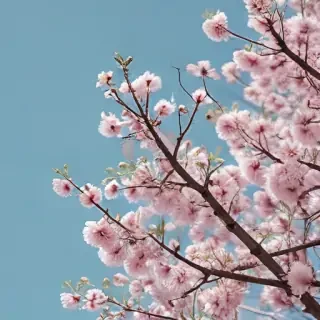 spring aesthetic desktop wallpaper