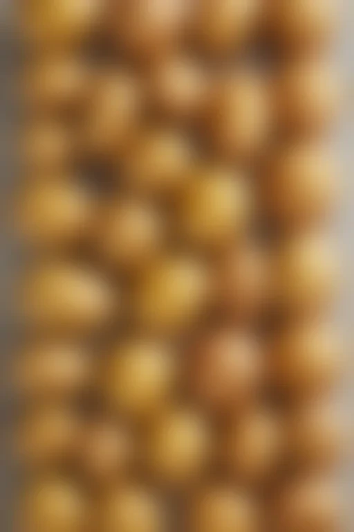 potato png