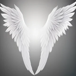 angel wings transparent background