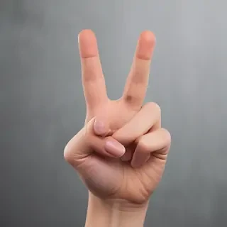 middle finger background