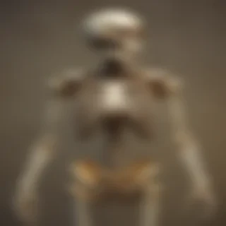 skeleton background