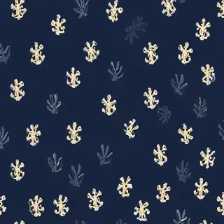 navy background