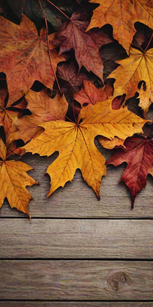 fall wallpapers iphone